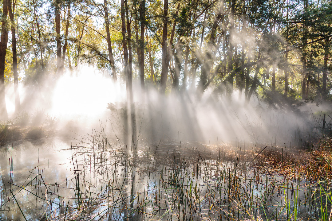 Foggy Wake in a Desert: An Ecosphere, 1976, National Gallery of Australia Sculpture Garden, Canberra, Australia, by Fujiko Nakaya