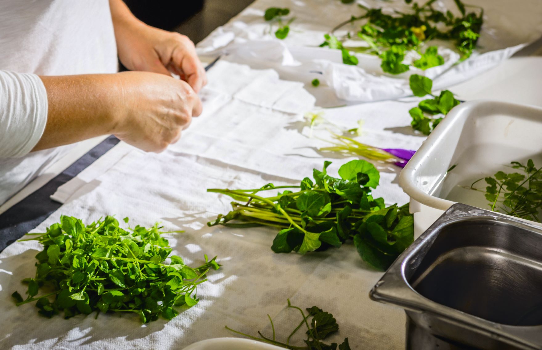 A chef prepares fresh produce from Mugaritz's garden. As reproduced in The Garden Chef