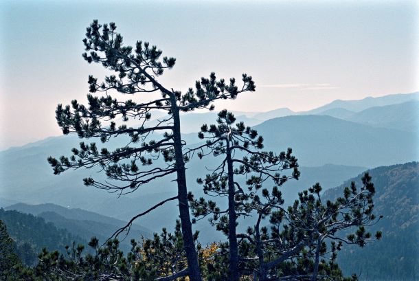 The Greek landscape, as reproduced in Greece: The Cookbook