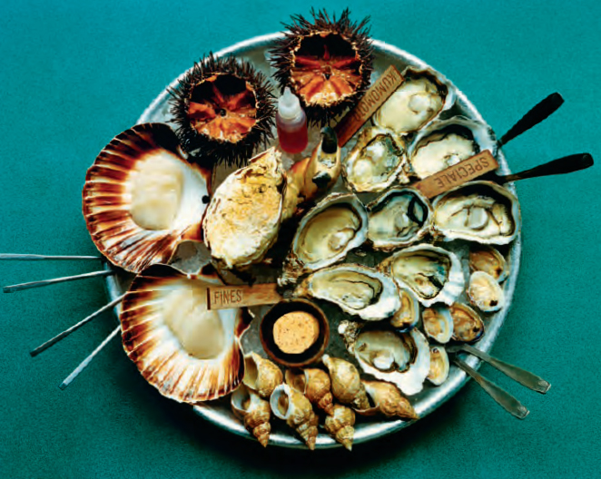 Shellfish from Clamato. Photograph by Alexandre Guirkinger 