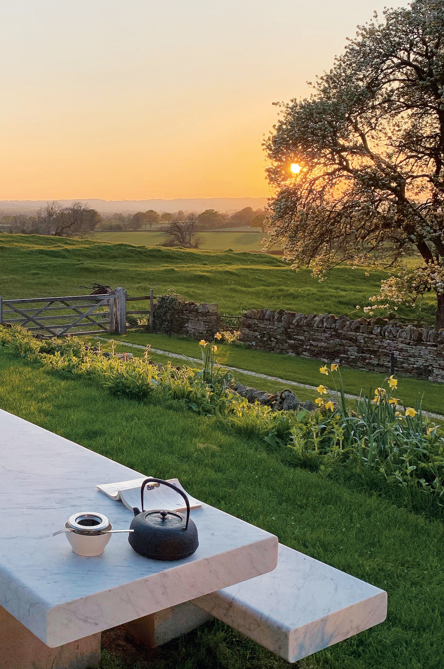 Spring at Home Farm.  Photography: Gilbert McCarragher