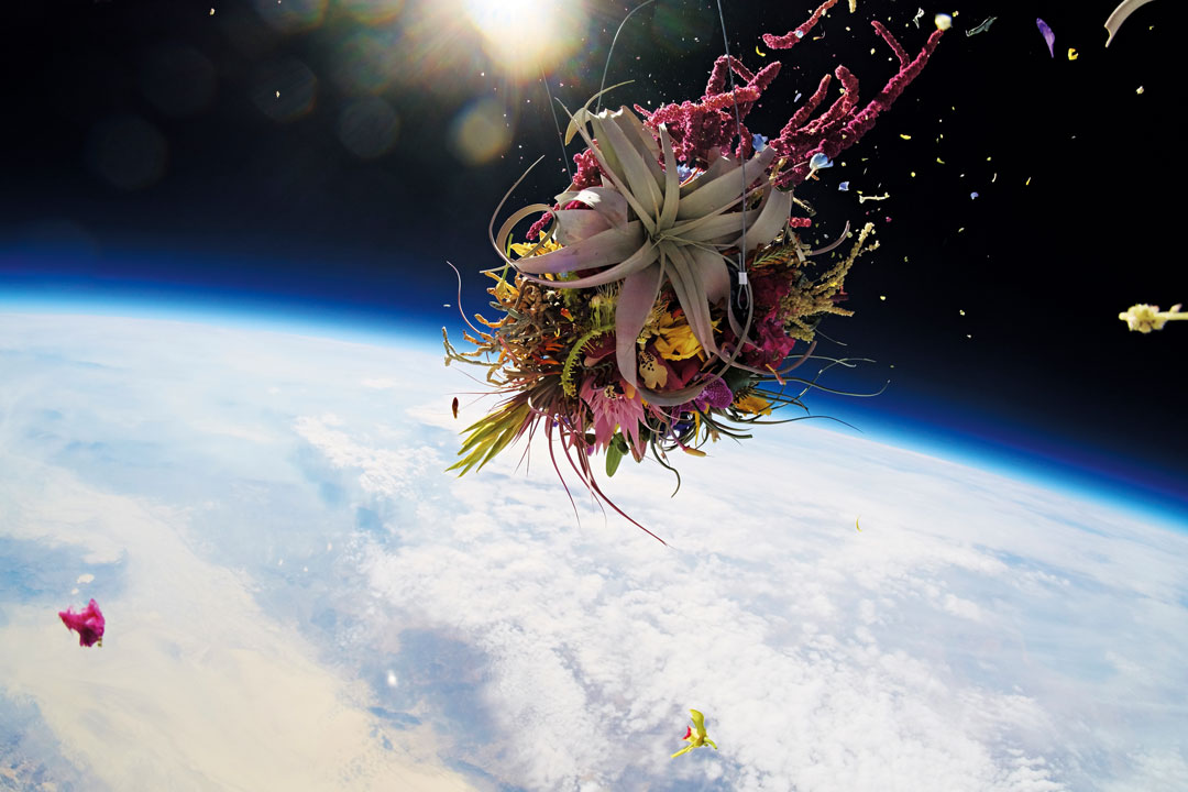 Azuma Makoto, Tokyo: Exobiotanica, botanical space flight launched from Nevada, USA, 2014. Courtesy Azuma Makoto/© Shiinoki / AMKK.