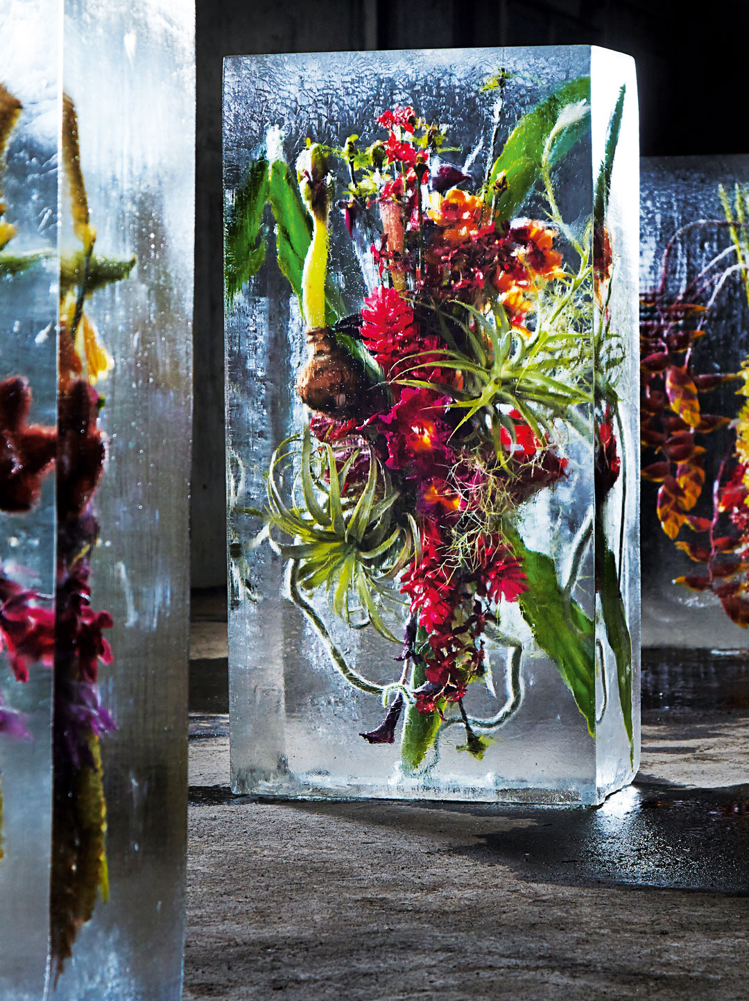 Azuma Makoto, Tokyo: Iced Flowers, Saitama, Japan, 2015. Courtesy Azuma Makoto/© Shiinoki / AMKK.