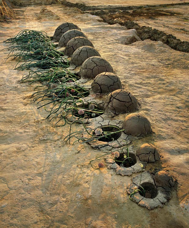 A vegetal interpretation of Maurice Ravel's Bolero at the landfill of Sint-Niklaas, near Antwerp, Belgium features swelling clay hills and dancing leek flowers From Daniel Ost