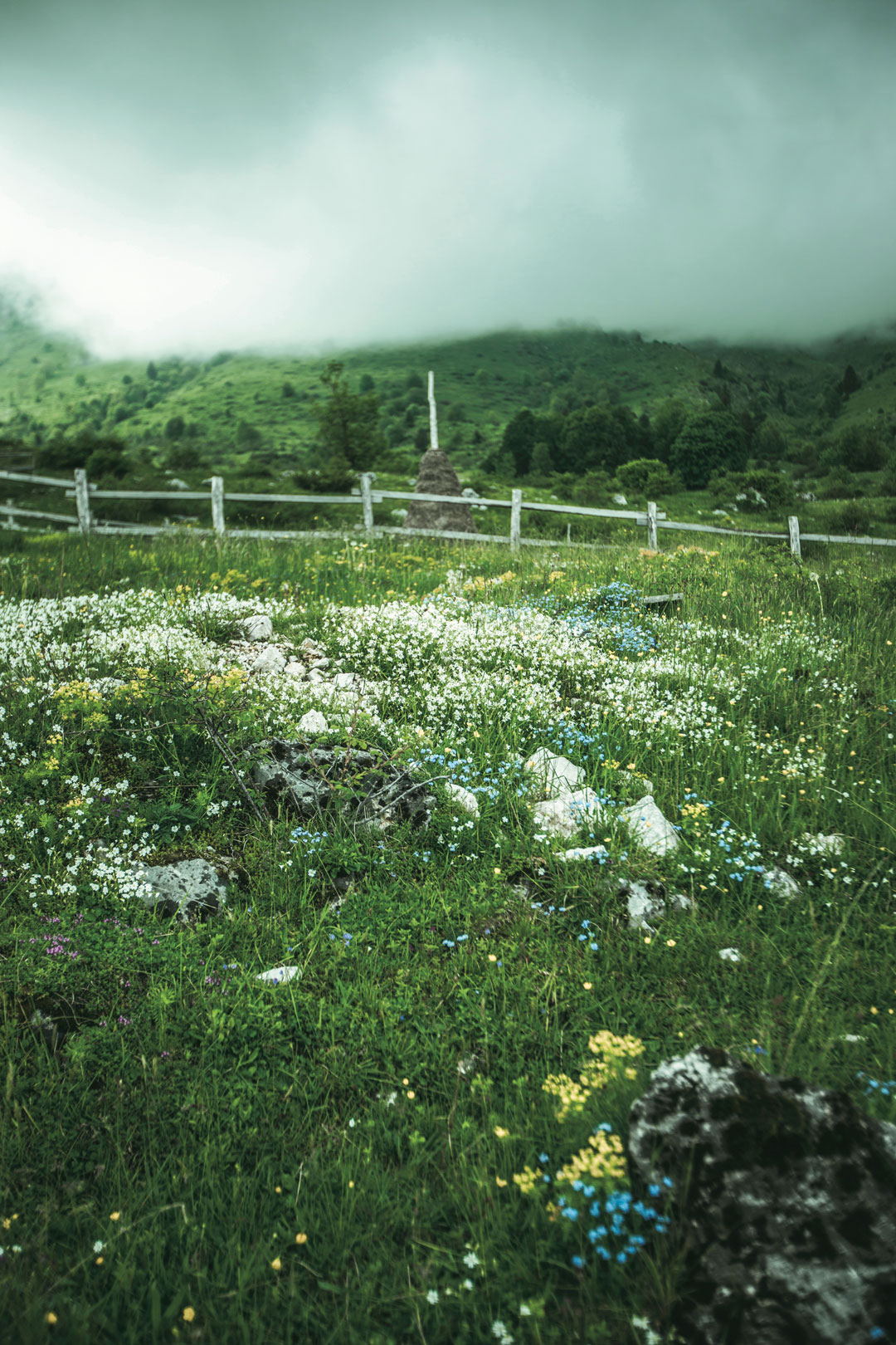 The Slovenian countryside, from Ana Roš: Sun and Rain