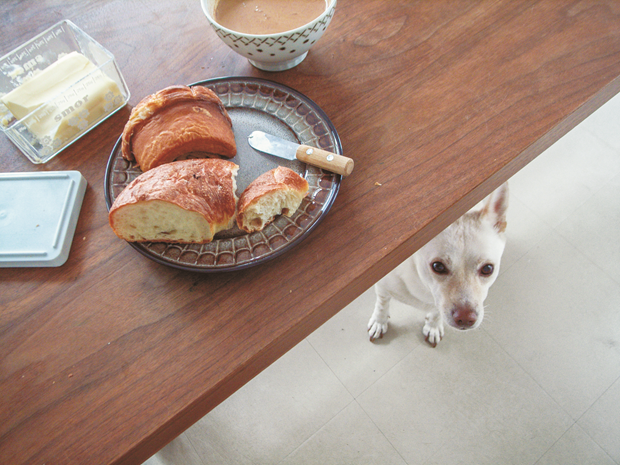 Half a rice cake loaf and half a cinnamon roll, café au lait and Kipple.