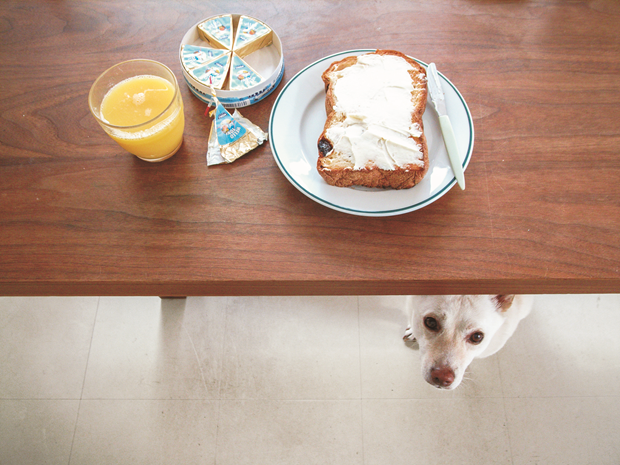 Cream cheese on fig bread baked in the bread maker, orange juice, and a dog that has become a permanent fixture under the table. Hey, be nice. From Bread and a Dog