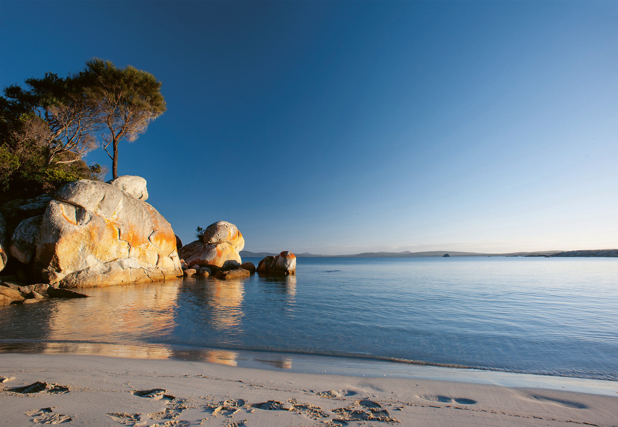 An image from Australia: The Cookbook. Photography by Alan Benson