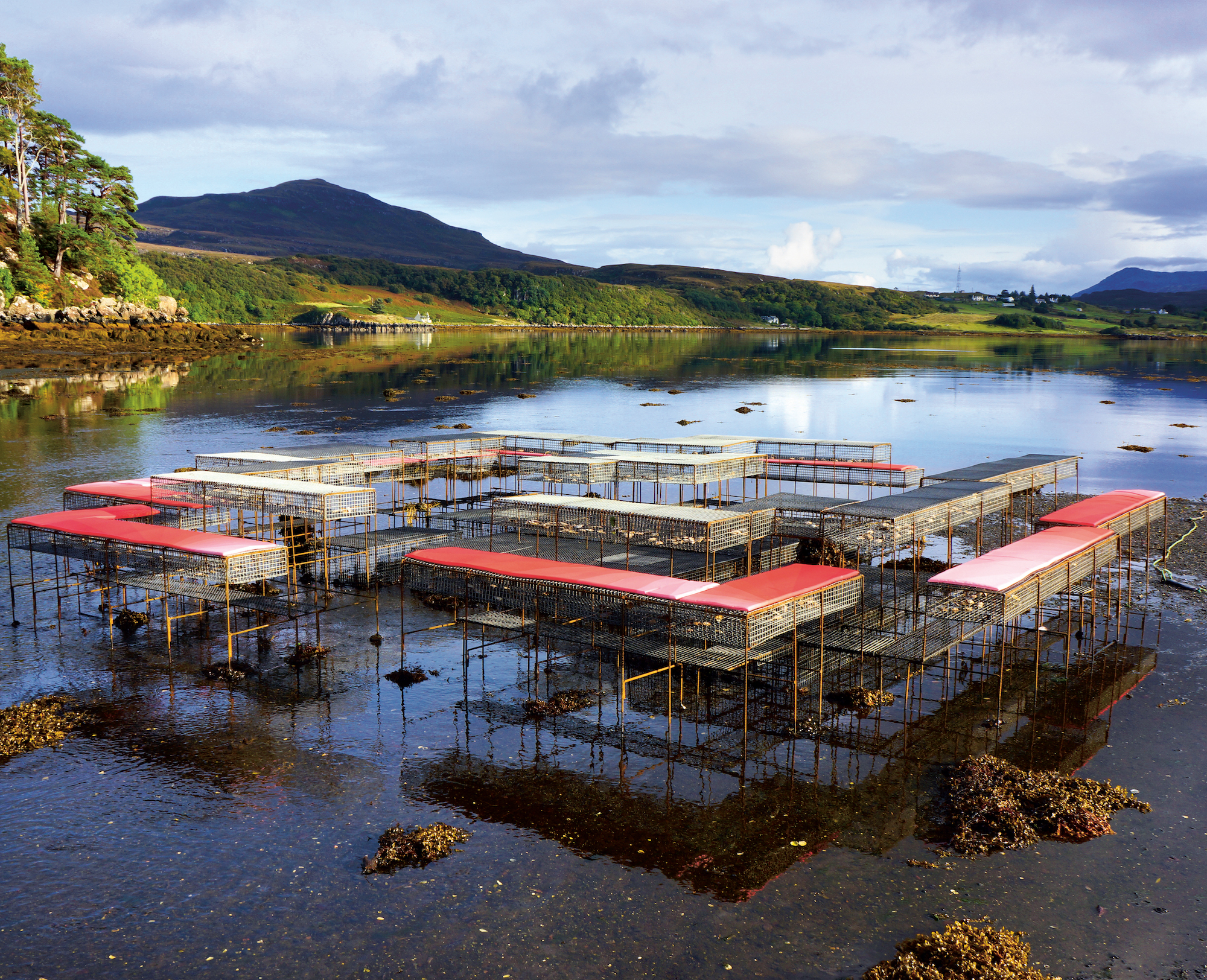 CLIMAVORE: On Tidal Zones, Cooking Sections, Isle of Skye, Scotland, UK, 2015–. Photo by Ruth Clark