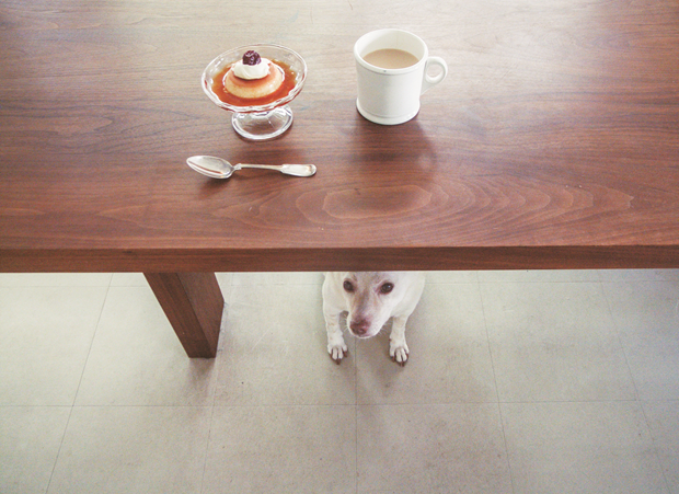 Crème caramel with whipped cream, a sour cherry, milky tea, and a dog. Can I try some? From Bread and a Dog