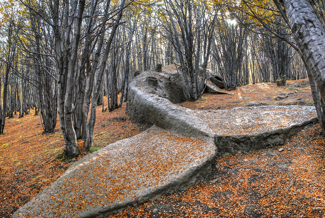 Adrián Villar Rojas, Mi Familia Muerta (My Dead Family), 2009. Unfired local clay, rocks, 3 x 27 x 4 m. Installation view in the Yatana Forest, 2nd End of the World Biennial, Ushuaia, Argentina, 2009. Artwork © Adrián Villar Rojas 