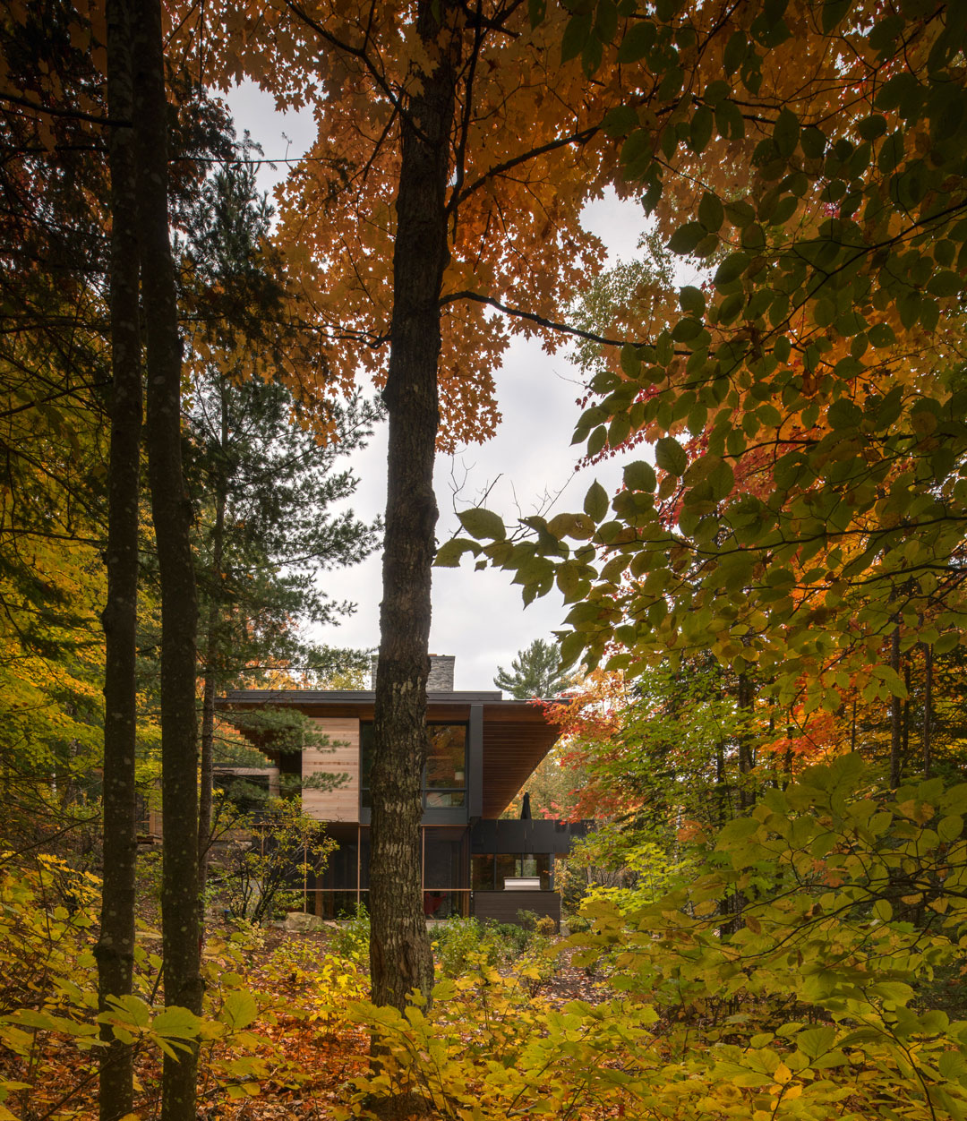 The Bear Stand, Bohlin Cywinski Jackson in association with Bohlin Grauman Miller Gooderham, (2016), Ontario, Canada