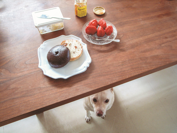 Bagels. From Bread and a Dog