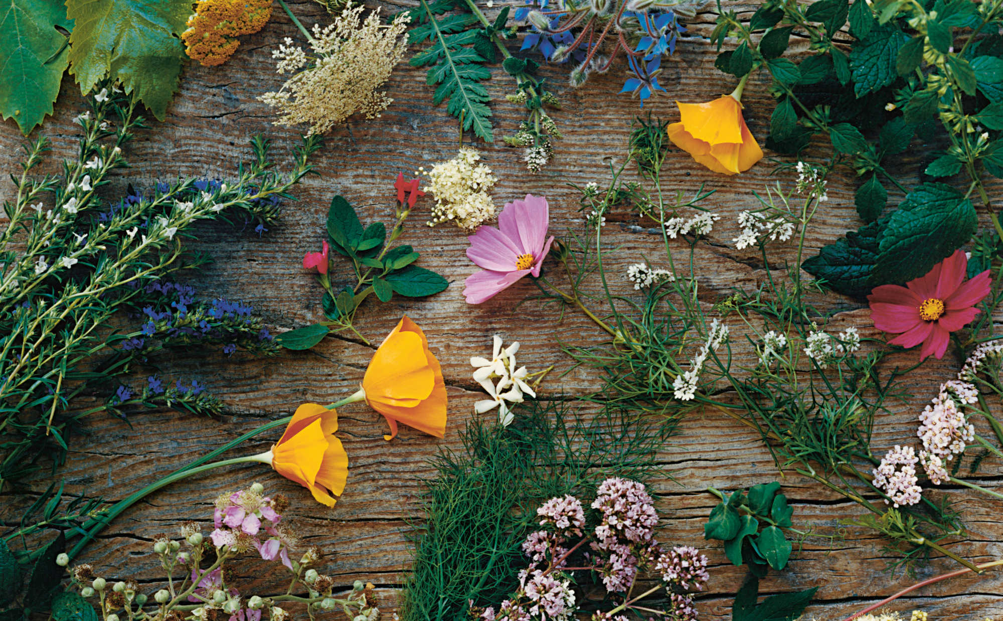 Spring pickings from the kitchen garden at D’une île. Photograph by Alexandre Guirkinger