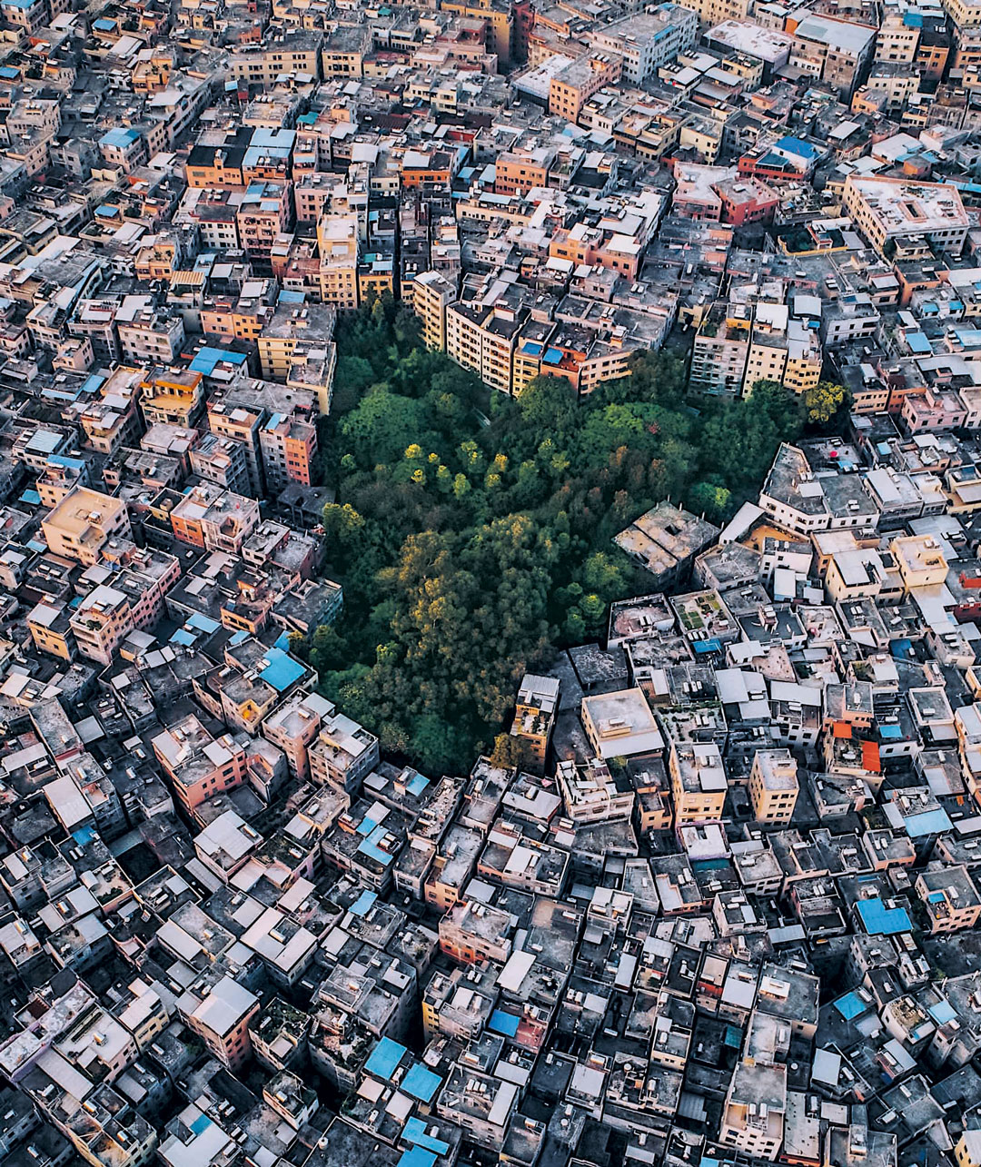 Guangzhou, Guangdong Province, China. An extreme example of a hyper-dense city where population size has increased fivefold since 1990. Many  Chinese cities are designed to maximize density in order to boost productivity and efficiency. Photo by Xin Zhang