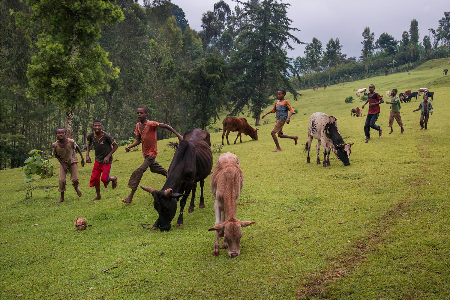 Children play football in a clearing on a coffee estate, Amaro region, Ethiopia, 2014