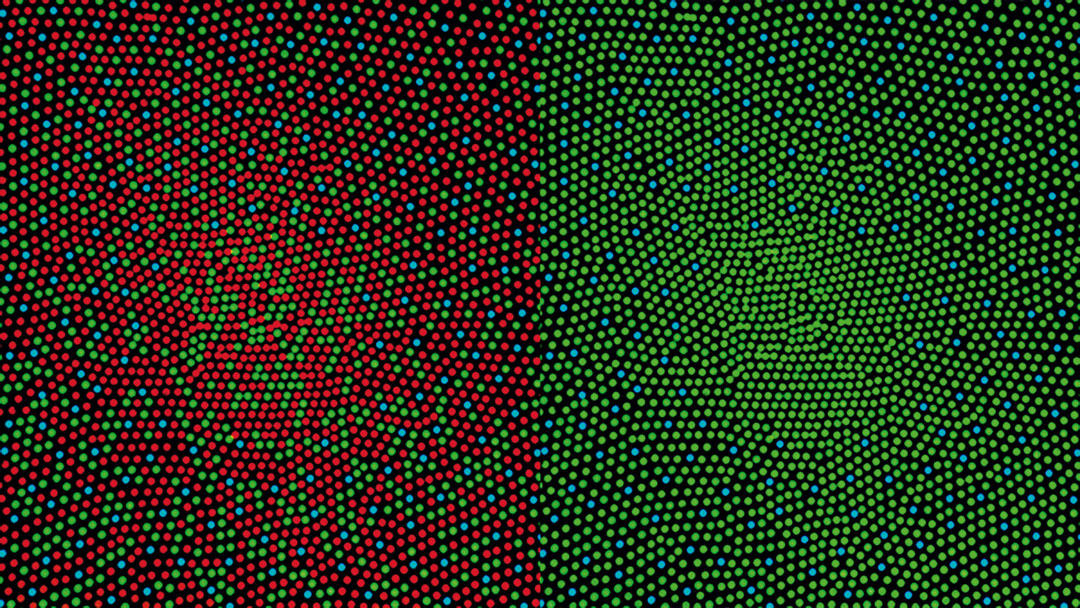 Representation of the retinal photoreceptor mosaic, c.2010, by Mark Fairchild. As reproduced in Anatomy: Exploring the Human Body