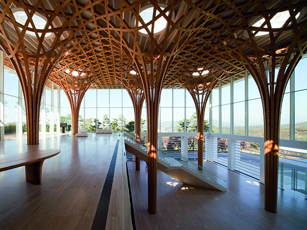 Why wood shaped, and still shapes our world | architecture