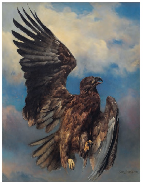ho - oh photorealistic flying over a rainbow