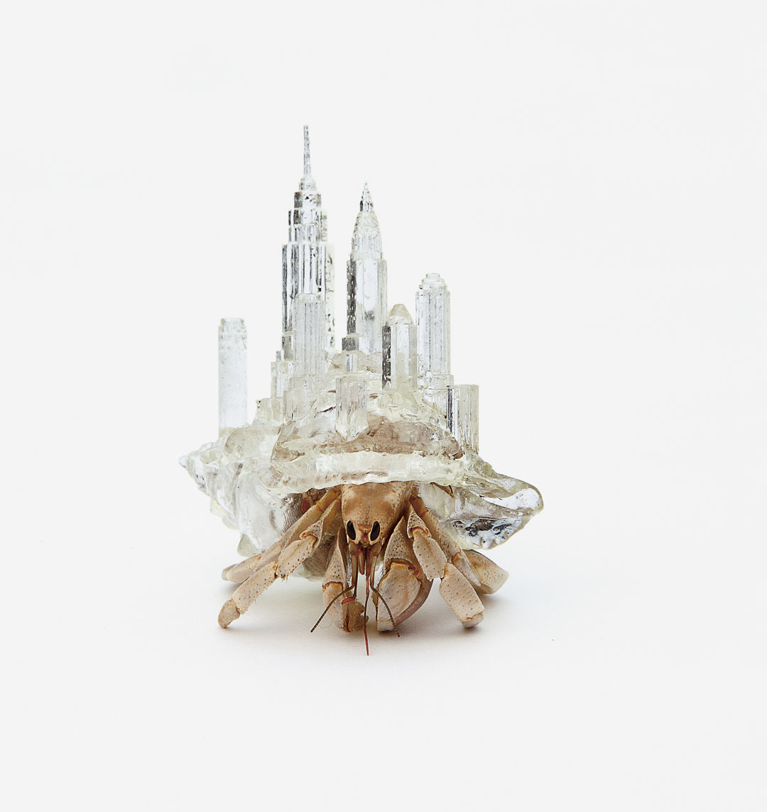 Shelter for Hermit Crabs by Aki Inomata