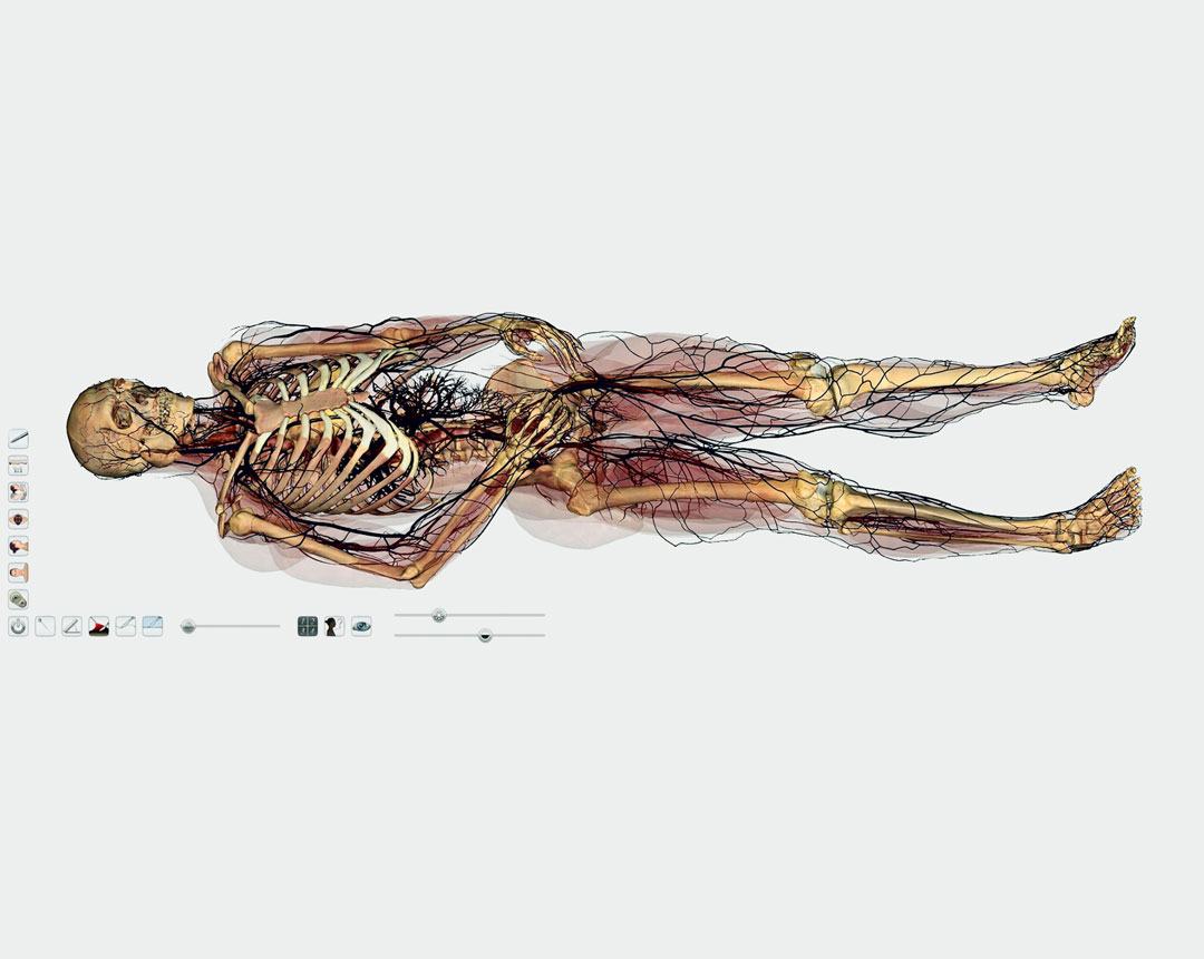 Anatomage Table, 2016 by Anatomage. As reproduced in Anatomy