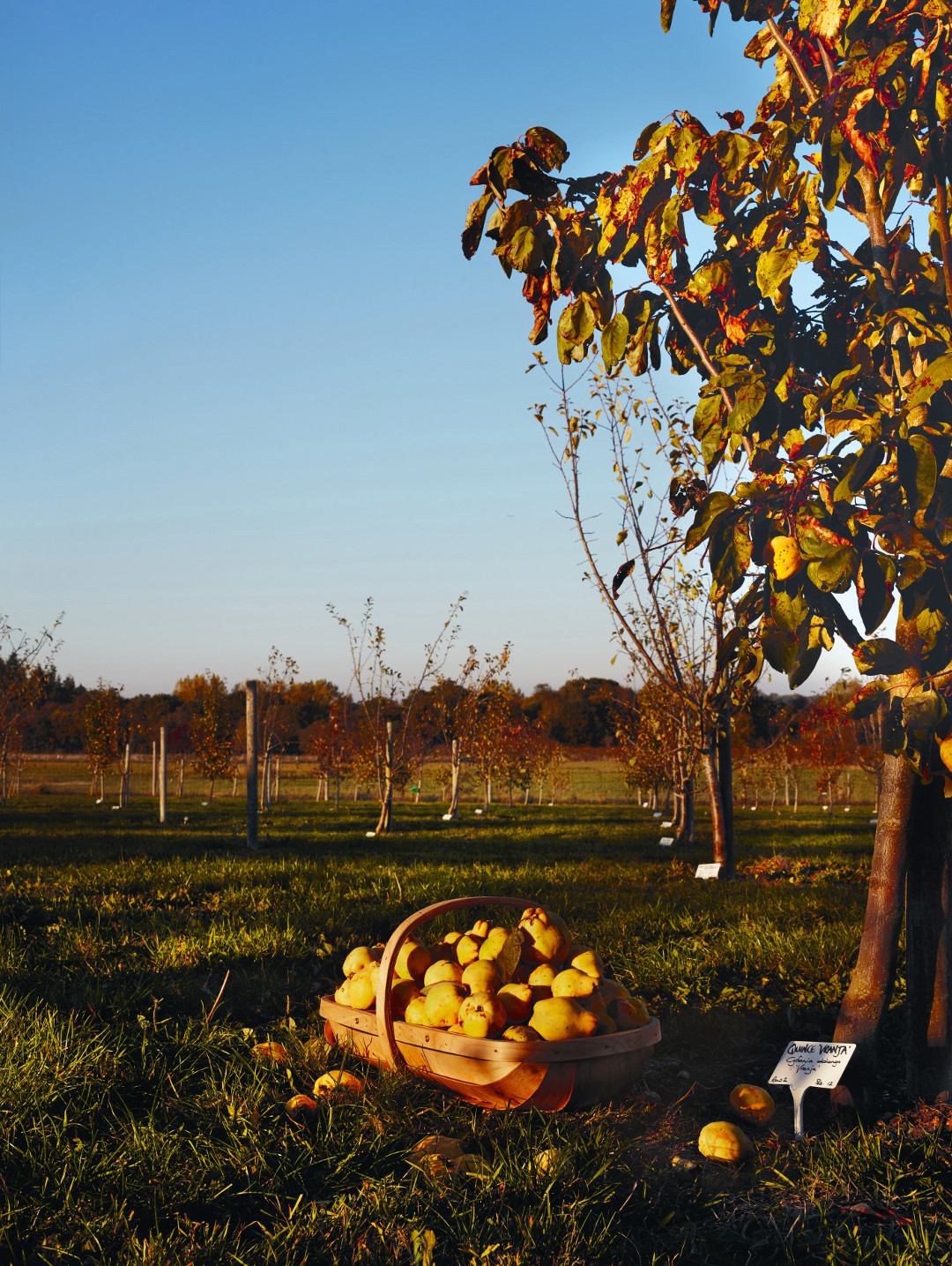 Heckfield Place, Hampshire, UK, as featured in The Garden Chef