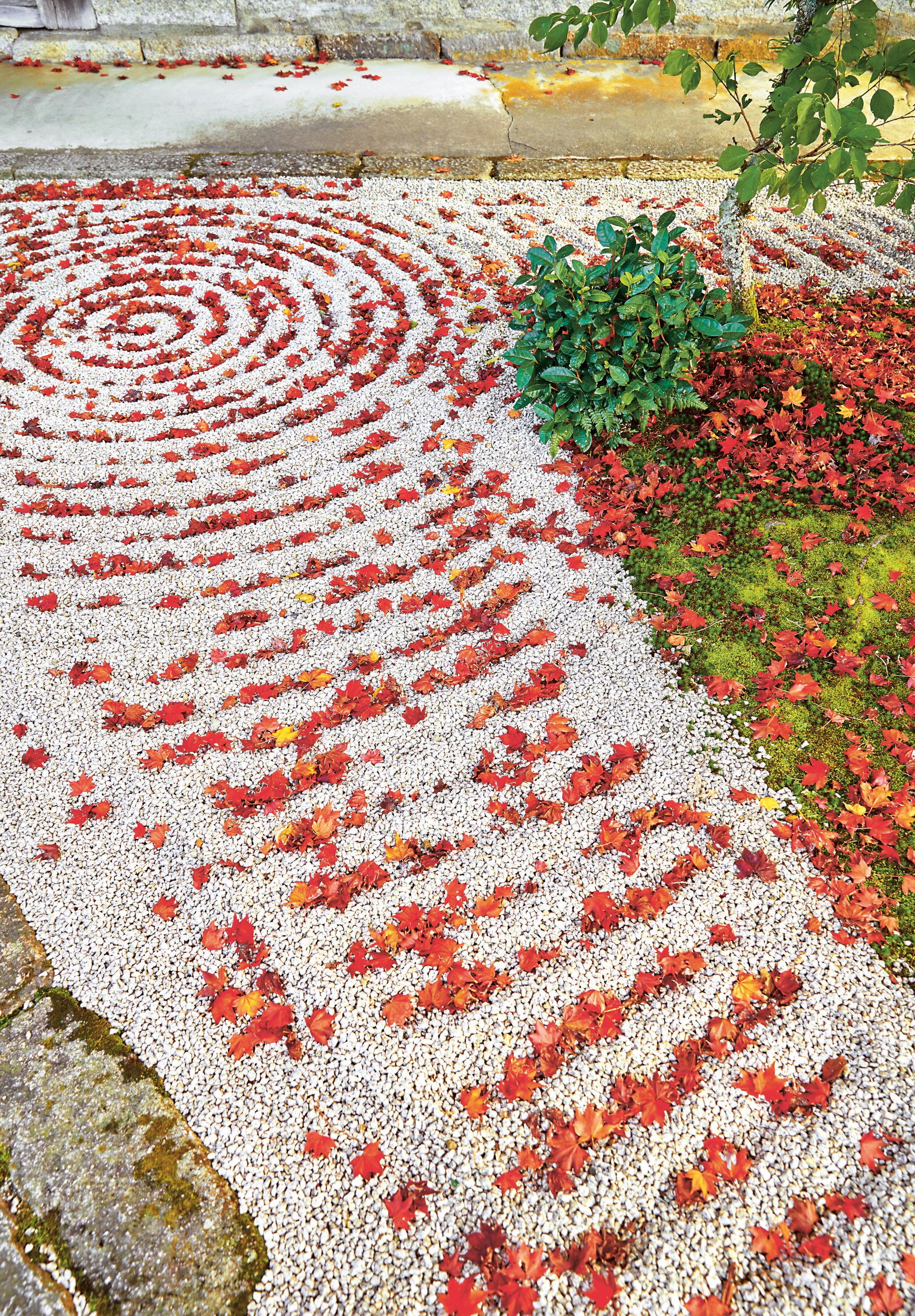 The garden at monk in autumn. Photos by Yuka Yanazume