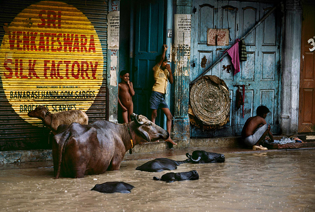 Steve McCurry, Family on train tracks during monsoon (1983), Chittagong, Bangladesh