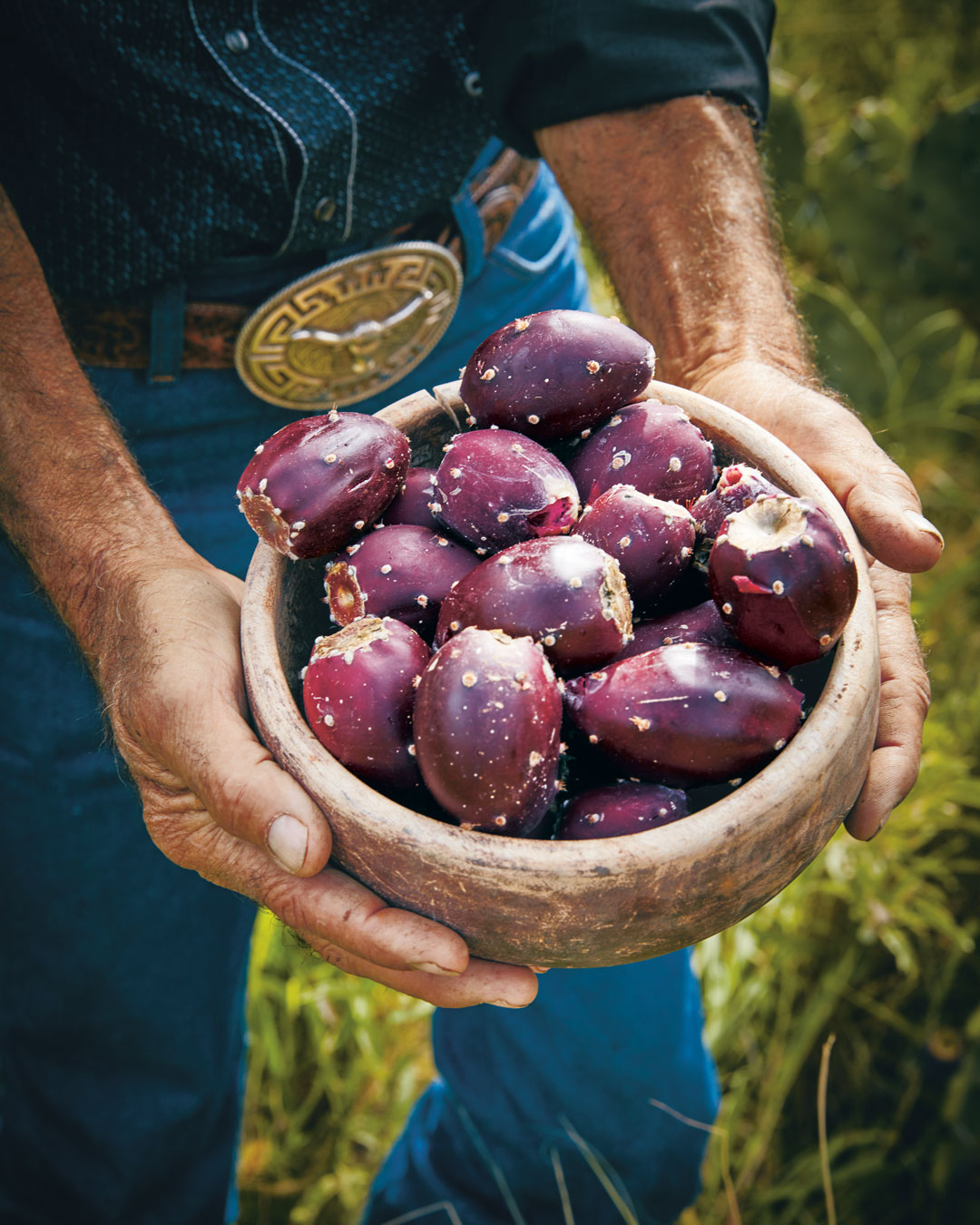 Prickly pears, collected locally in Marfa