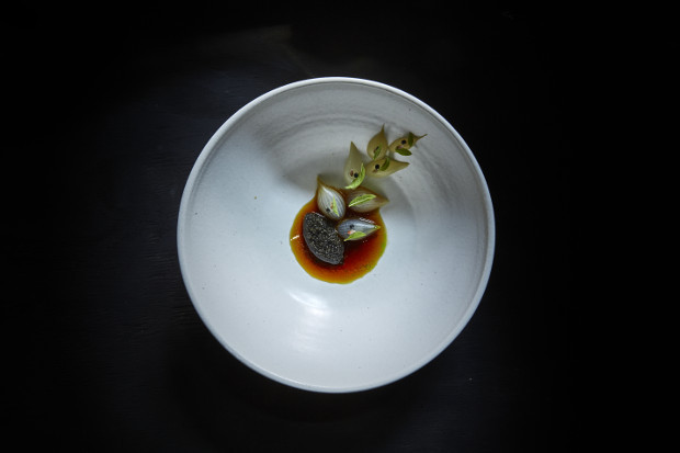 Finnish caviar and grilled onion with a broth of the charred onion skins and lemon verbena, from Aska