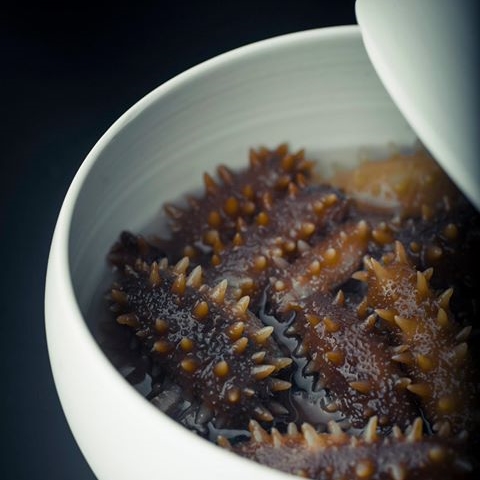 Sea cucumber, as served at Benu