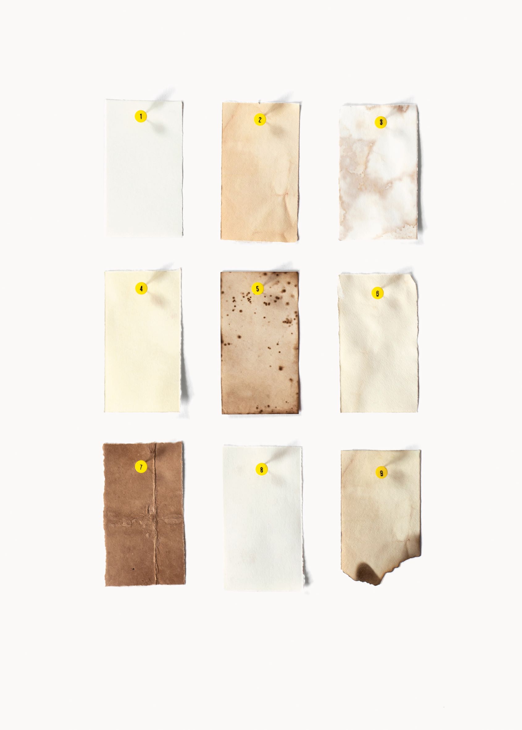 Staining and Aging Paper, photographs by Flora Fricker, collection of Annie Atkins. Left to right, top to bottom: (1) No aging (2) Tea (3) Bleach and lemon juice (4) Brasso Polish (5) Potassium permanganate crystals (6) Coffee (7) Balsamic vinegar, cooked in the oven for ten minutes (8) Red wine vinegar (9) Burnt with match