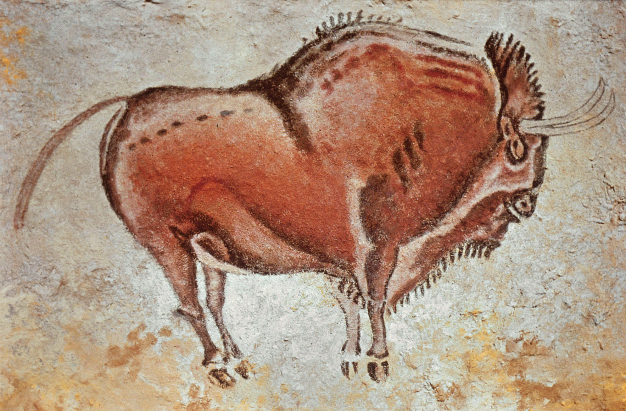 Astonishing Animals – The Steppe Bison