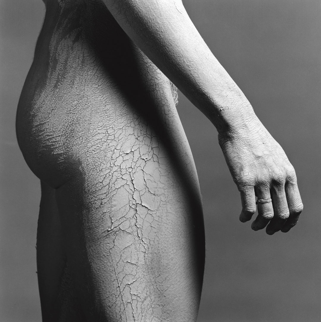 Robert Mapplethorpe: Lisa Lyon, 1982. (c) Robert Mapplethorpe Foundation Inc
