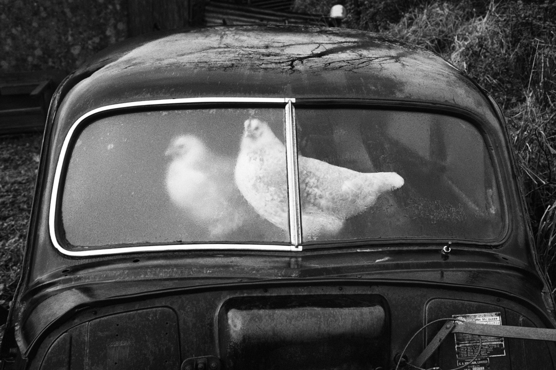 Glencar, County Sligo, Ireland.  Abandoned Morris Minors, from 'A Fair Day', 1980-1983. © Martin Parr, Magnum Photos, Rocket Gallery