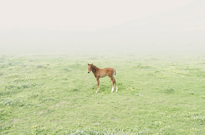 Soledad - nothing as splendid as the sea, March 2013 by Petros Koublis, from In Landscapes