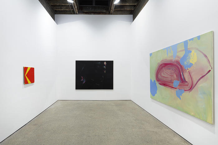 installation view, Wilhelm Sasnal at The Anton Kern Gallery, New York, 2013