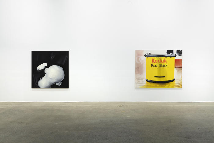 installation view, Wilhelm Sasnal at The Anton Kern Gallery, New York, 2013