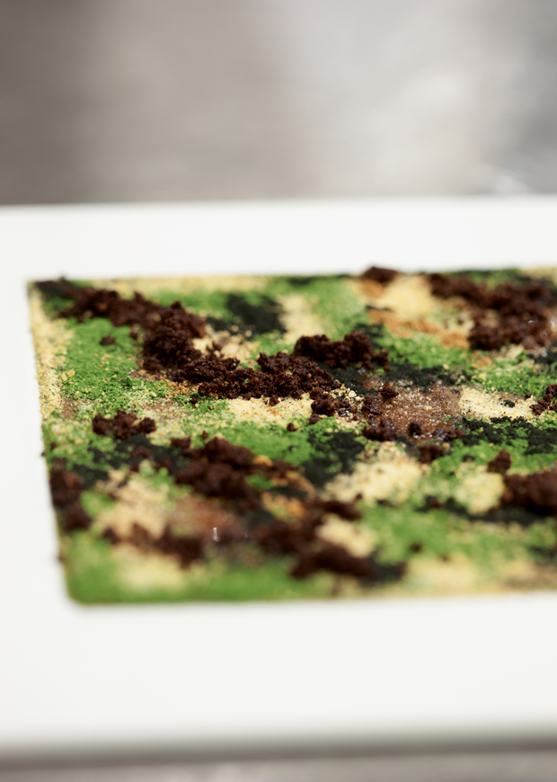  Camouflage: Hare in the Woods by Massimo Bottura from Never Trust a Skinny Italian Chef
