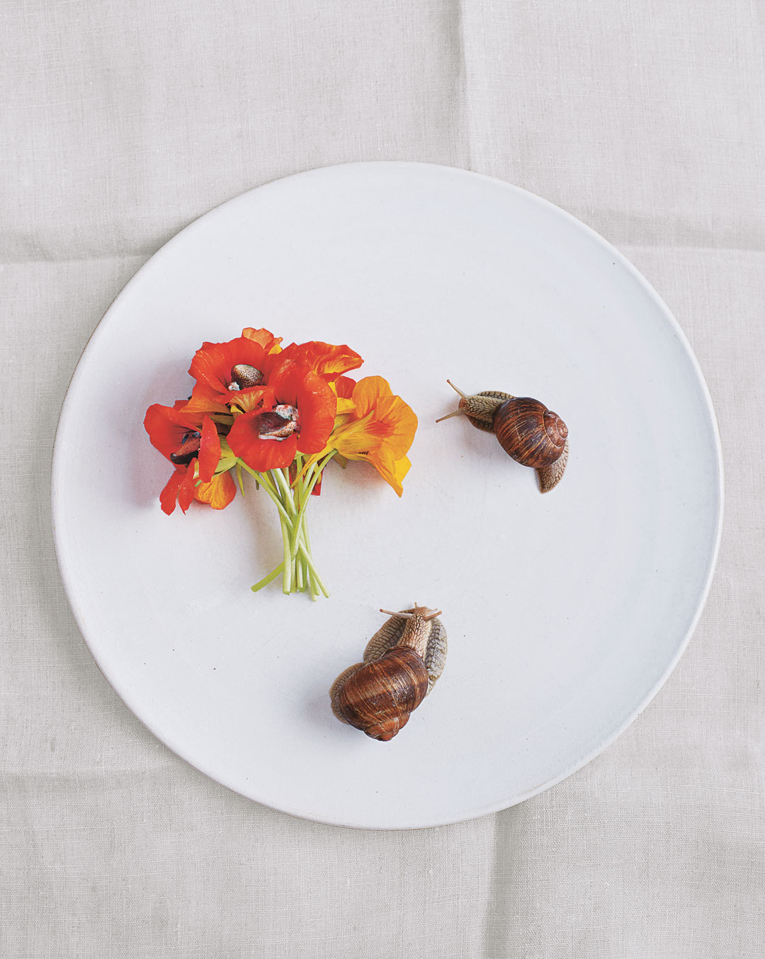Nasturiums and cooked snails. From A Work in Progress: A Journal 