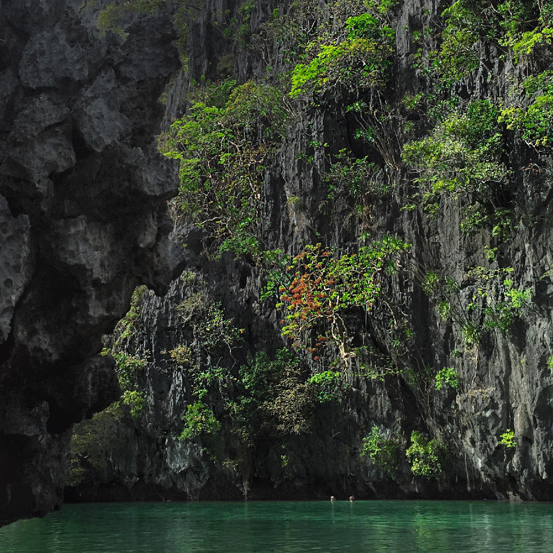 Miniloc Island, Philippines, March 2016