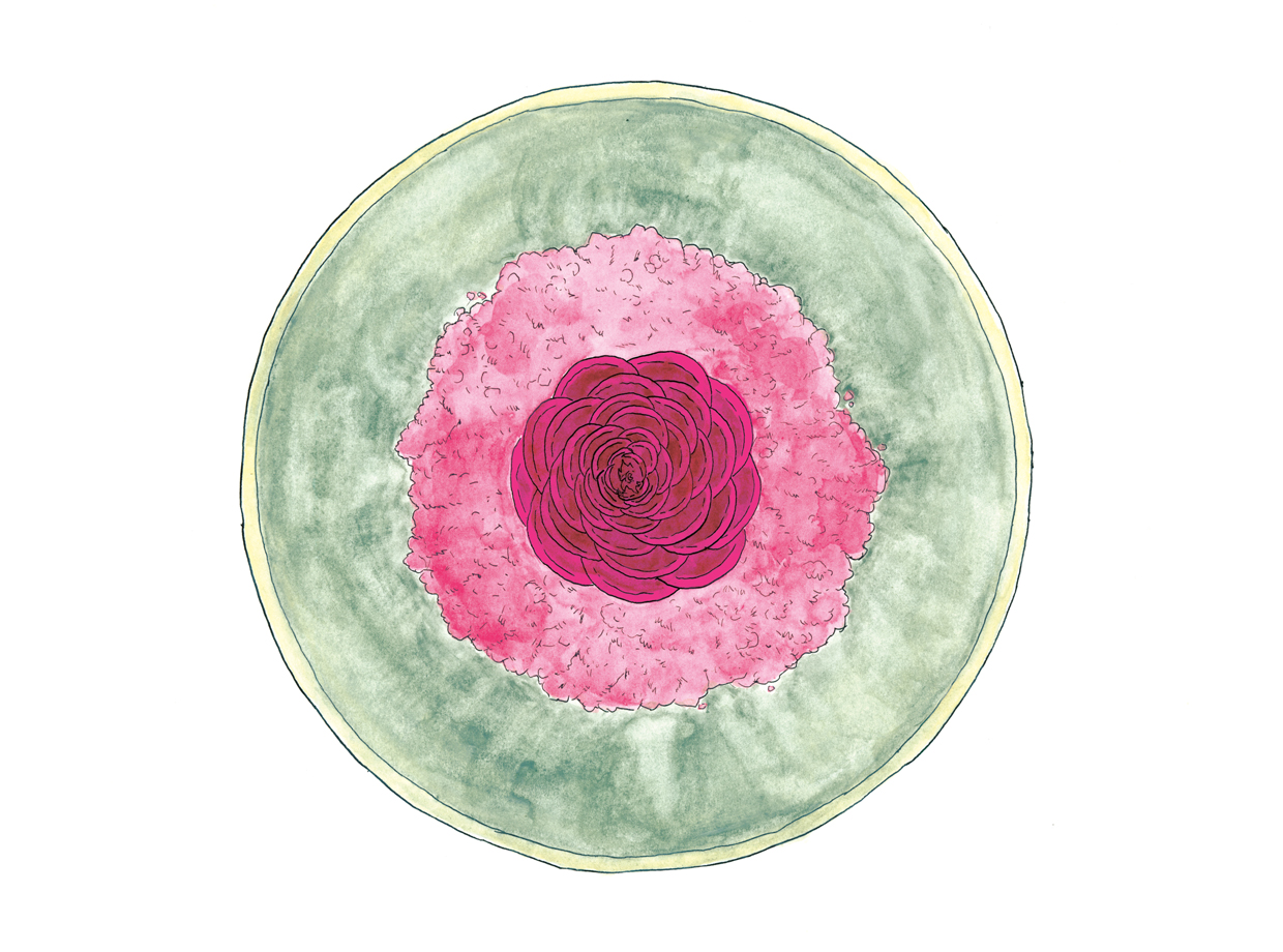 Beet Rose, Yogurt, and Rose Petal Ice, Daniel Patterson Coi, United States 2011 - Signature Dishes That Matter