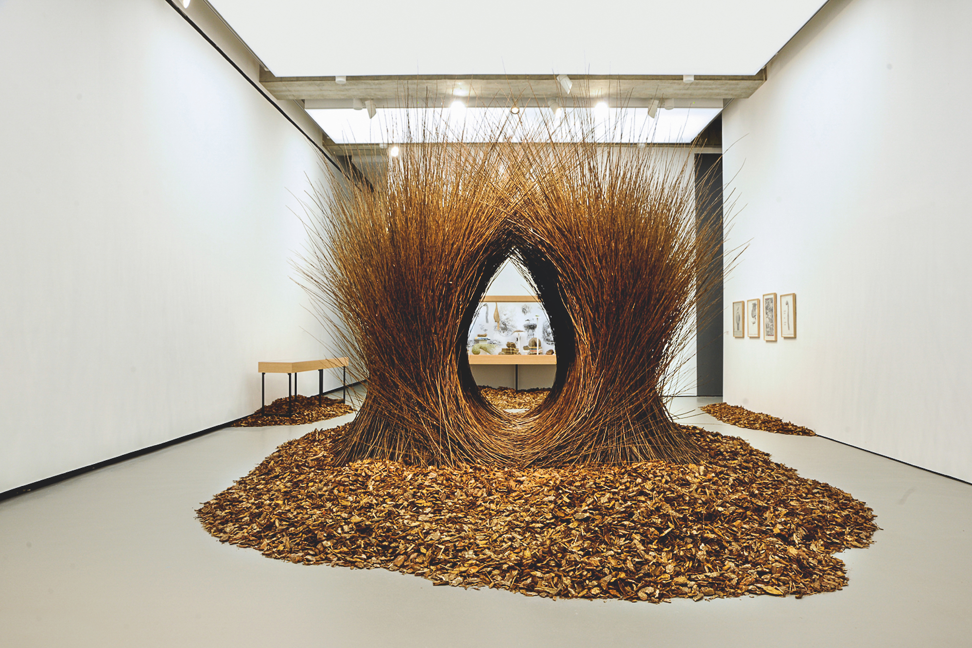 Andy Holden and Peter Holden, Natural Selection, 2018. Mixed media, Temporary installation at Towner Art Gallery, Eastbourne, UK. Andy Holden/Photograph by Alison Bettles