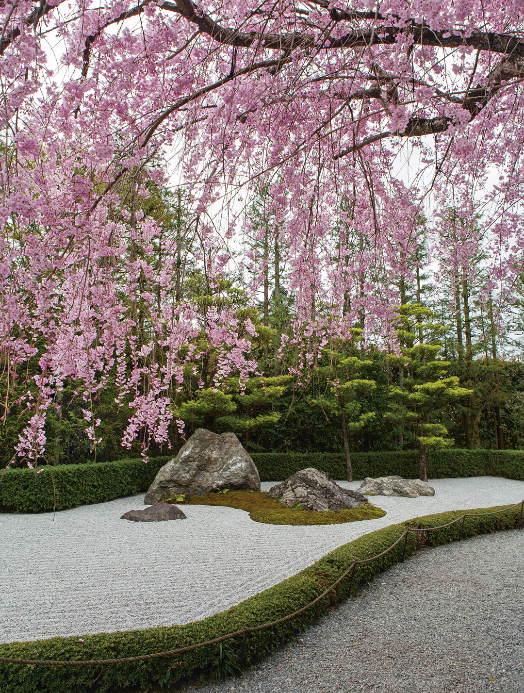 A fine example of a Shōwa Period garden, Kinsaku Nakane designed the Yoko-en pond garden at Taizō-in in 1963–6.