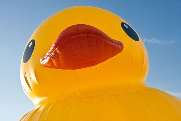 Florentijn Hofman's Rubber Duck - image courtesy of the artist