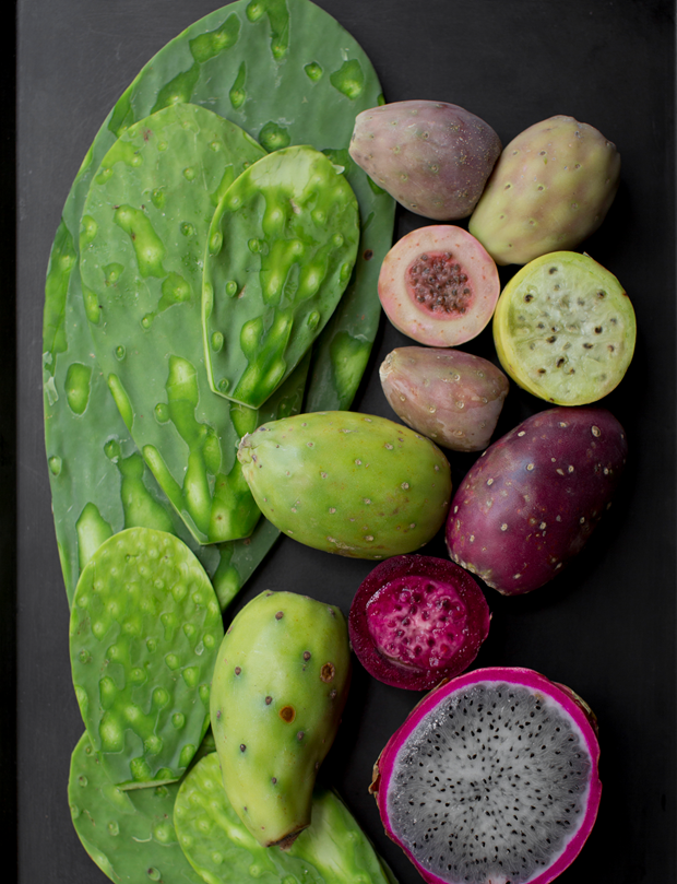 From the Kitchen: Ingredients – Cacti. Photo by Araceli Paz. From Enrique Olvera’s Mexico From the Inside Out