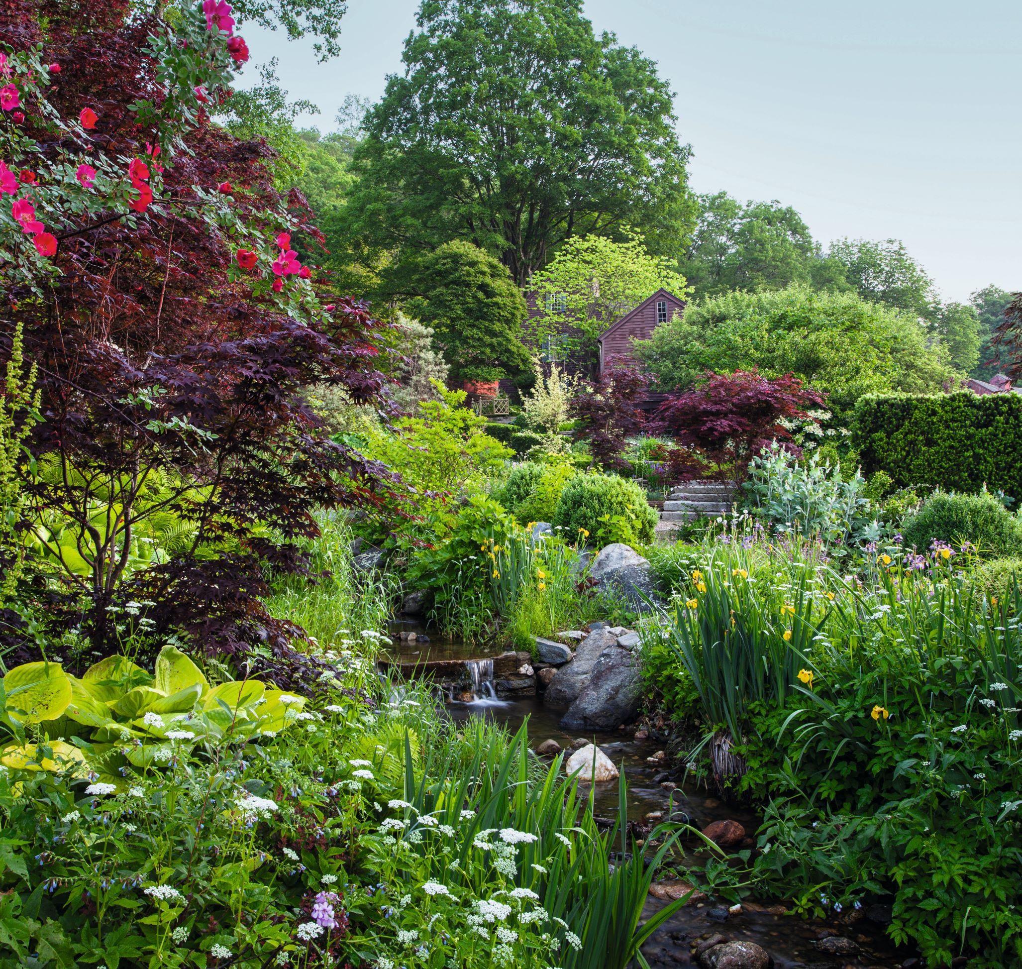 Wild Garden. The Hollister House Garden, Washington, Connecticut, was begun by George Schoellkopf in 1979. Open to the public. © Claire Takacs