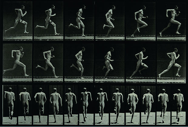 Eadweard Muybridge, A Man Sprinting, 1887, photogravure after collotype, 23.5 x 31.5 cm (9 1/4 x 12 1/2 in), Wellcome Library, London. As reproduced in Body of Art
