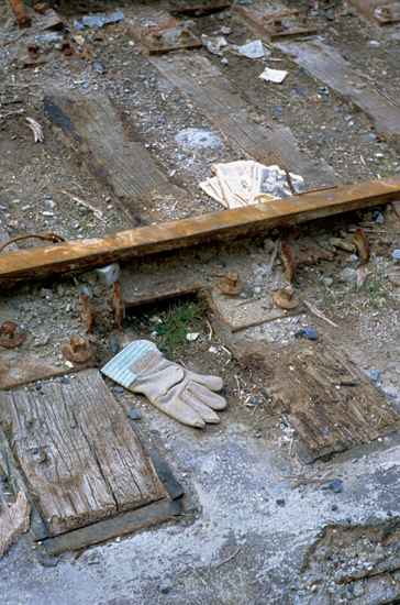 Grass growing among the leftover debris on the PATH train tracks (Spring 2002) - Joel Meyerowitz