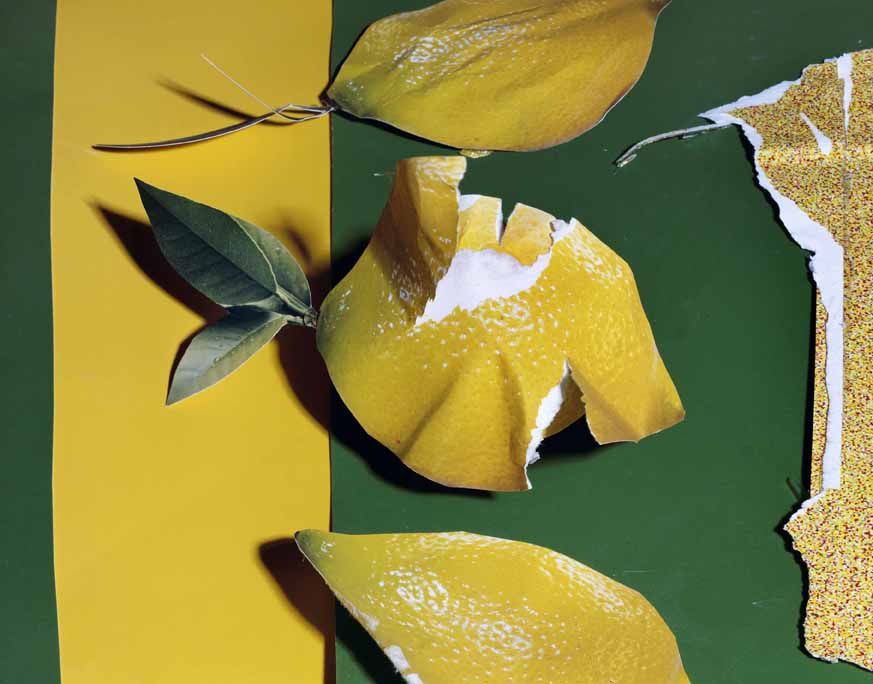 Lemons, 2013 © Daniel Gordon / Courtesy of the artist and Wallspace, New York